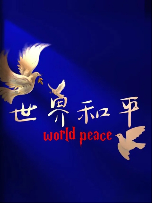 集團董事長陳偉其：構建韌勁系統——從印巴沖突說開